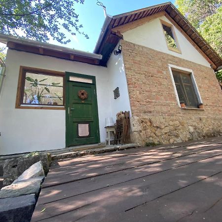 Rustic Cottage & Garden Retreat On Buda Hilltop 부다페스트 외부 사진