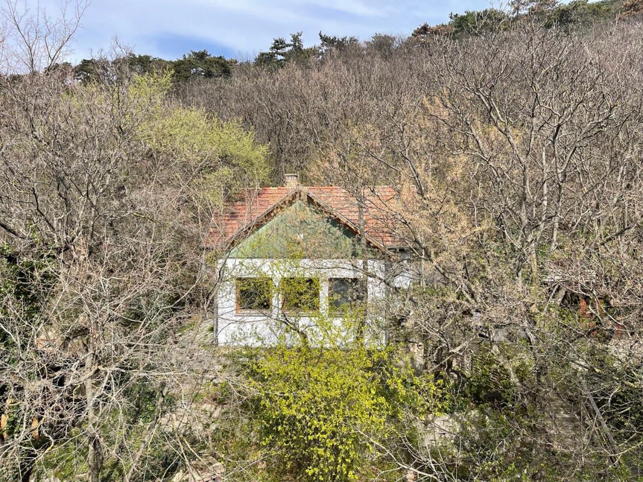 Rustic Cottage & Garden Retreat On Buda Hilltop 부다페스트 외부 사진
